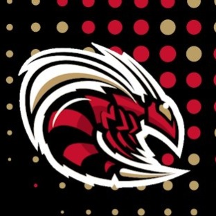 Missouri Swarm logo