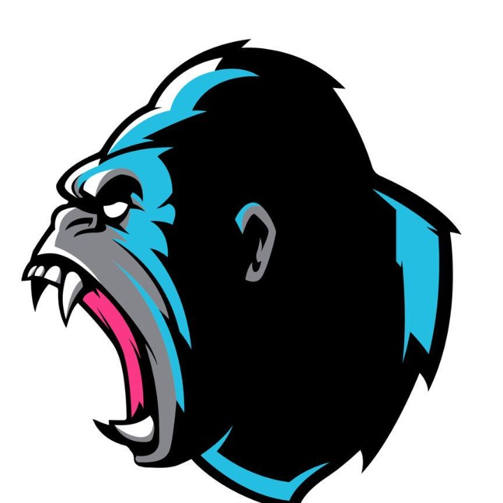 Queen City Insane Asylum logo