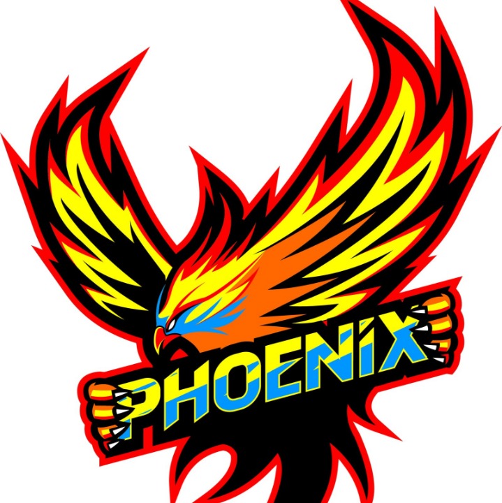 Chippewa Valley Phoenix 2024 logo