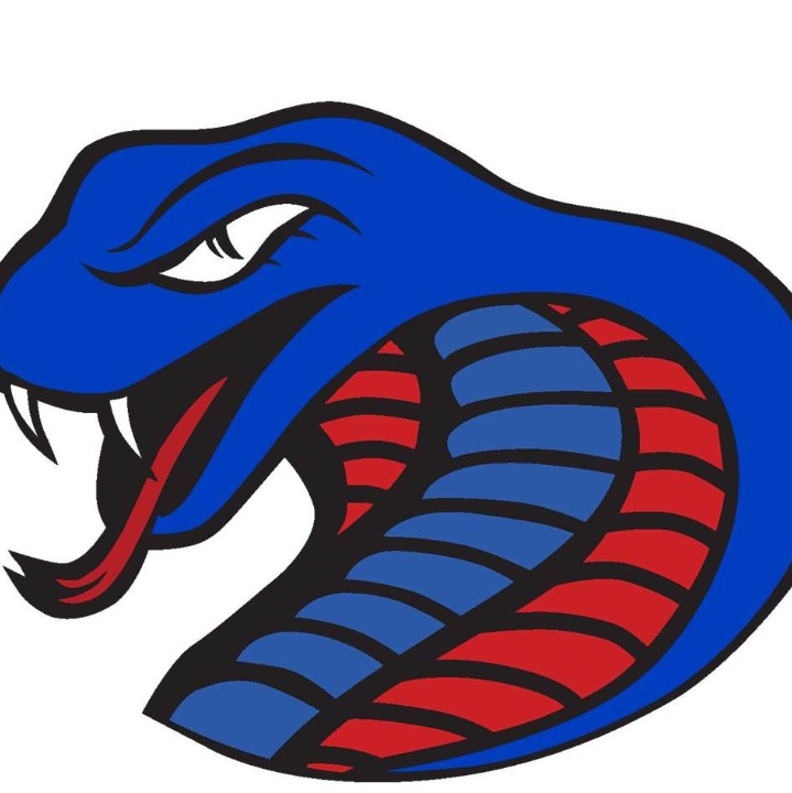 ​​​Charlotte Cobras logo