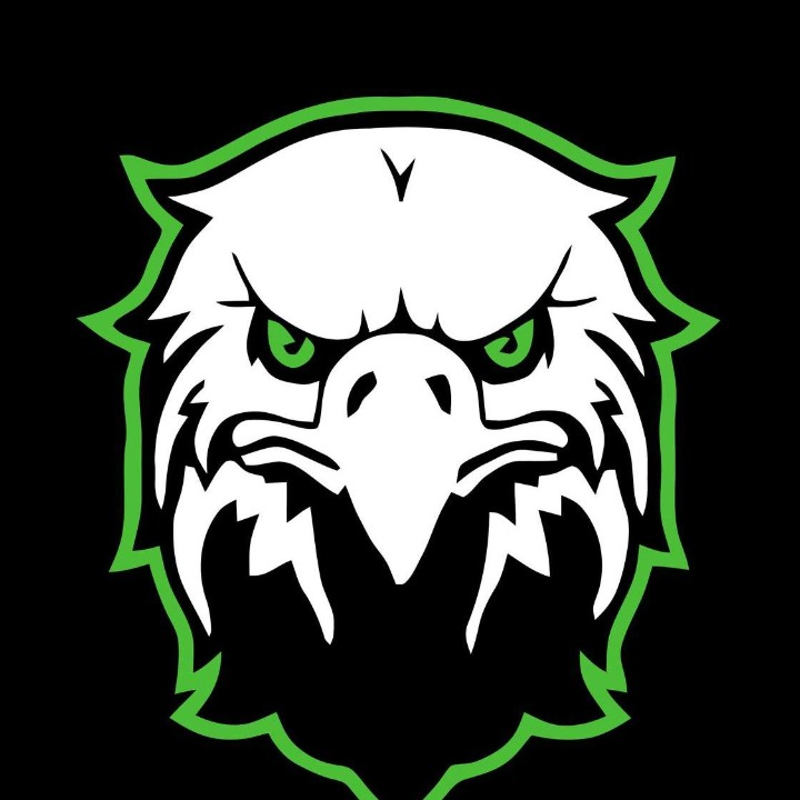 Mile High Eagles logo