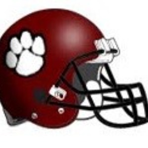 Newark Jr Cats logo
