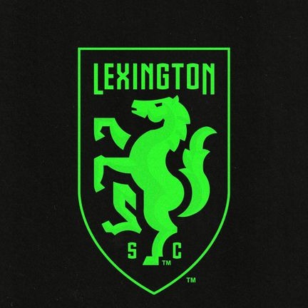 Lexington Sporting (Youth) logo