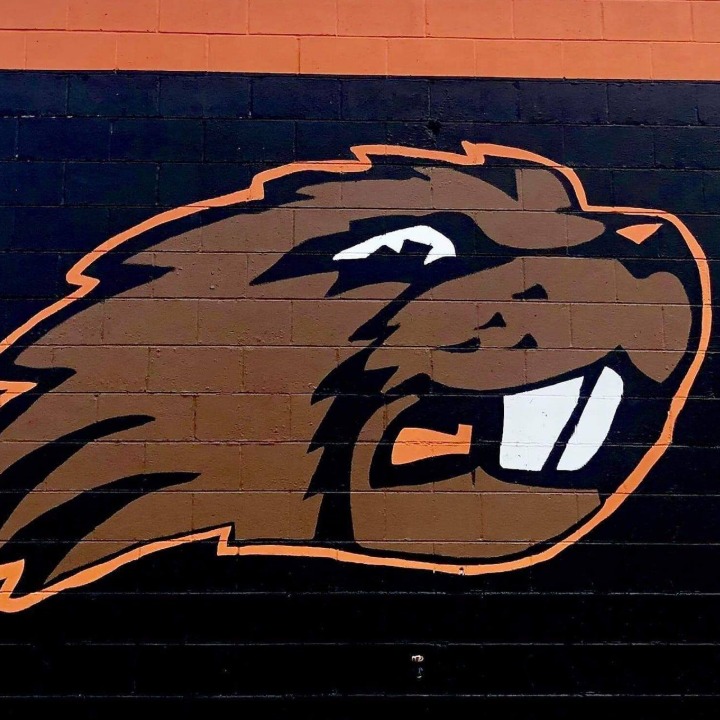Beavercreek Black - 3rd - 2026 logo
