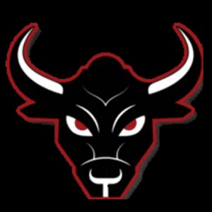 San Antonio Toros - 2026 logo