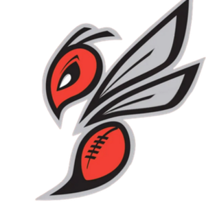 Tennessee Hornets - 2026 logo