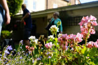 Cleaning gutters, paths & patios