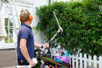 Hedge cutting and pruning