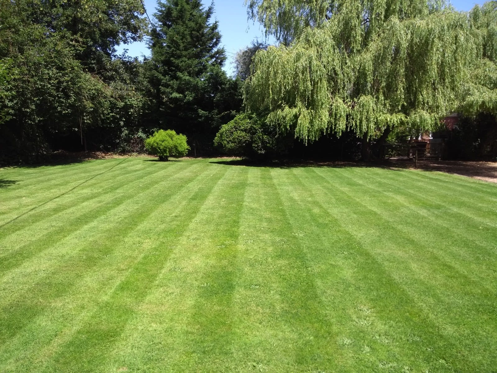 Ed's gardening business stripy summer lawn