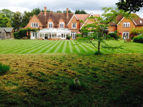 Garden Tidy Up