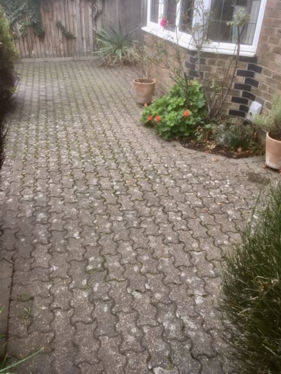 Weathered stone patio flagging layered with slippery green algae before treatment