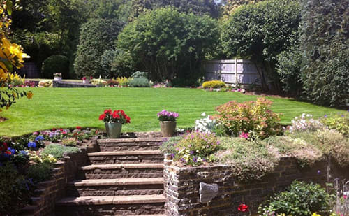 Regular Garden Maintenance in Brighton