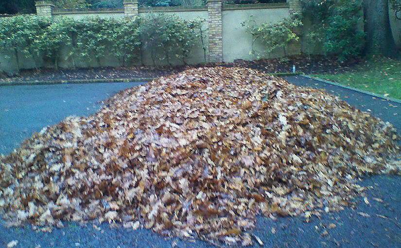 Clearing Garden Leaves from Ed's Garden Maintenance