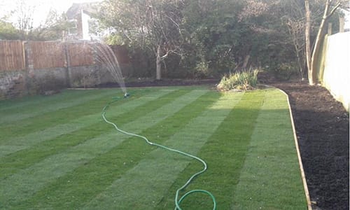 Watering the Grass in South East London