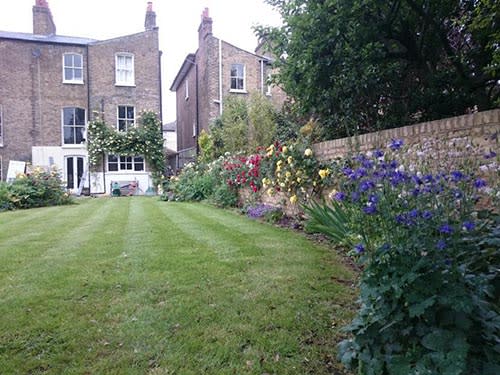 Garden Lawn Mowing Services in South East London