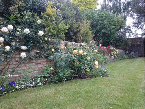 Clearing Garden Border Edges