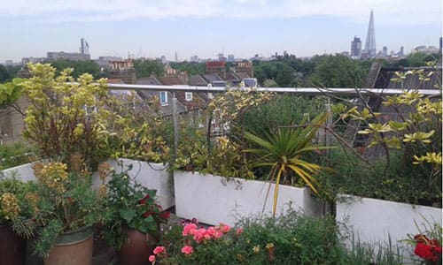 Maintaining Balcony Gardens in South East London