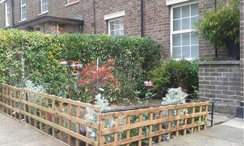 Front Garden Maintenance Service in South East London