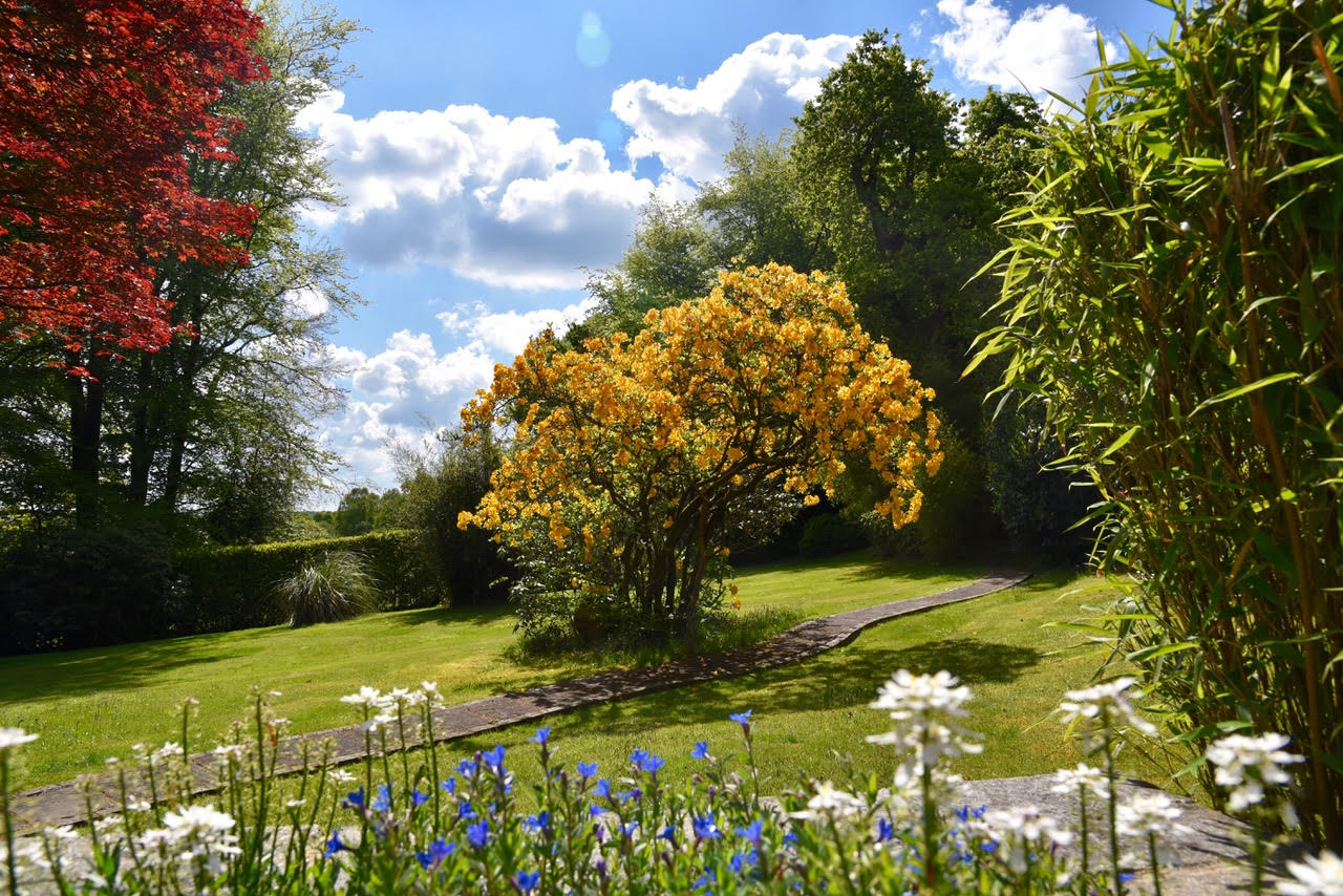 Beautifully mowed garden with stunning flowersStunning garden with flowers