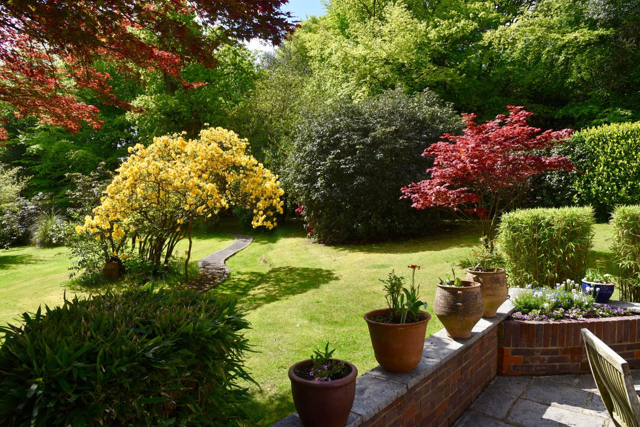 Garden view from a terrace