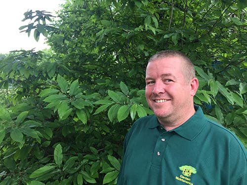 Paul Wellington's Gardening Services in Thurrock