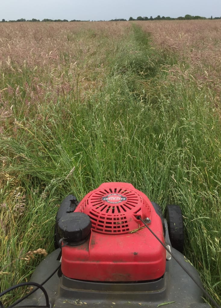 Pierre and Penny mow a meadown