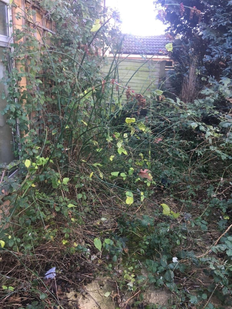 Years of growth to clear