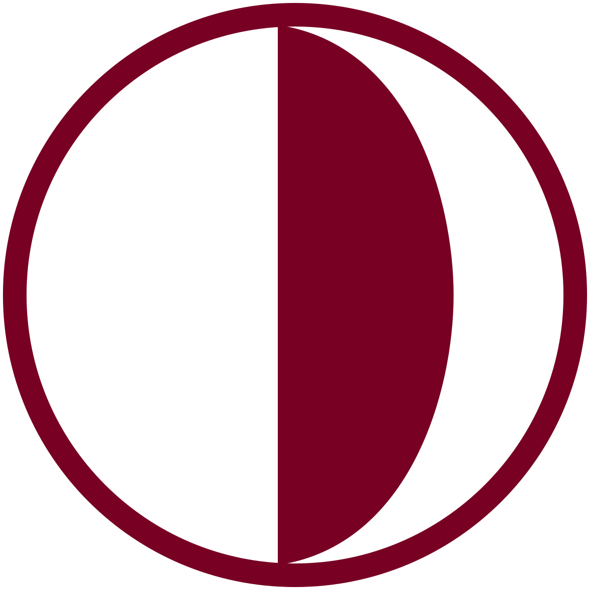 Near East University Logo