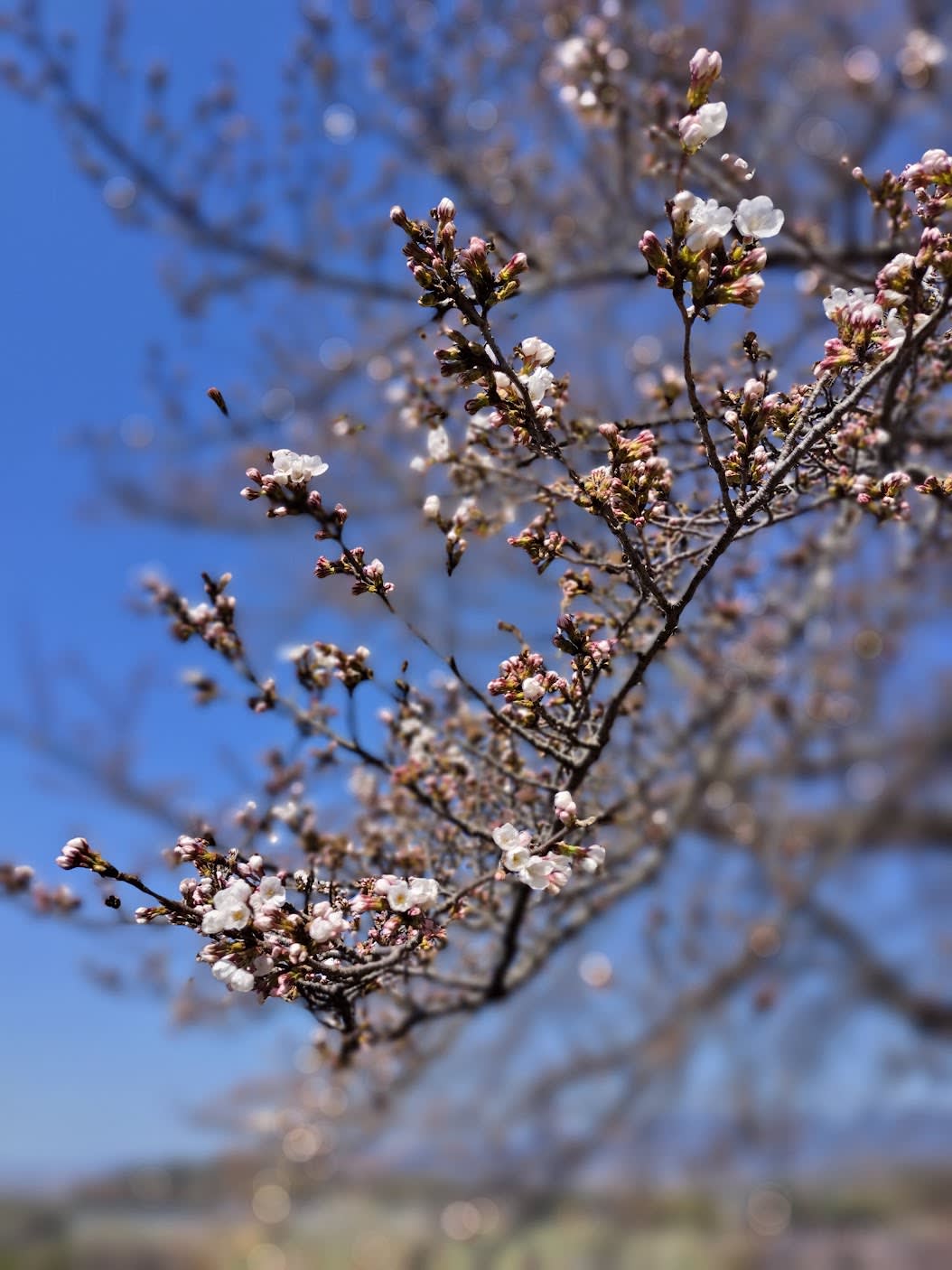 「学習課題」にフォーカスする②