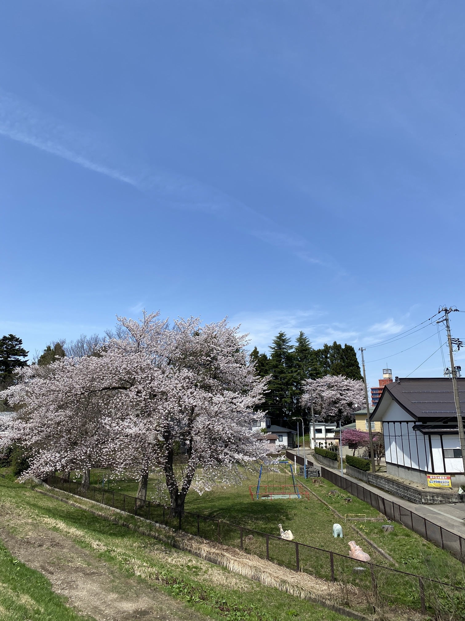 3月9日から新年度になります