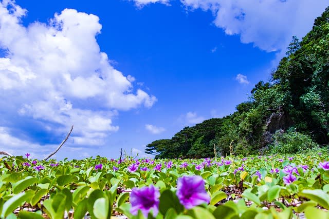 熱夏に燃ゆ、夏休みこそ真の底力を培い、2学期に翔け！