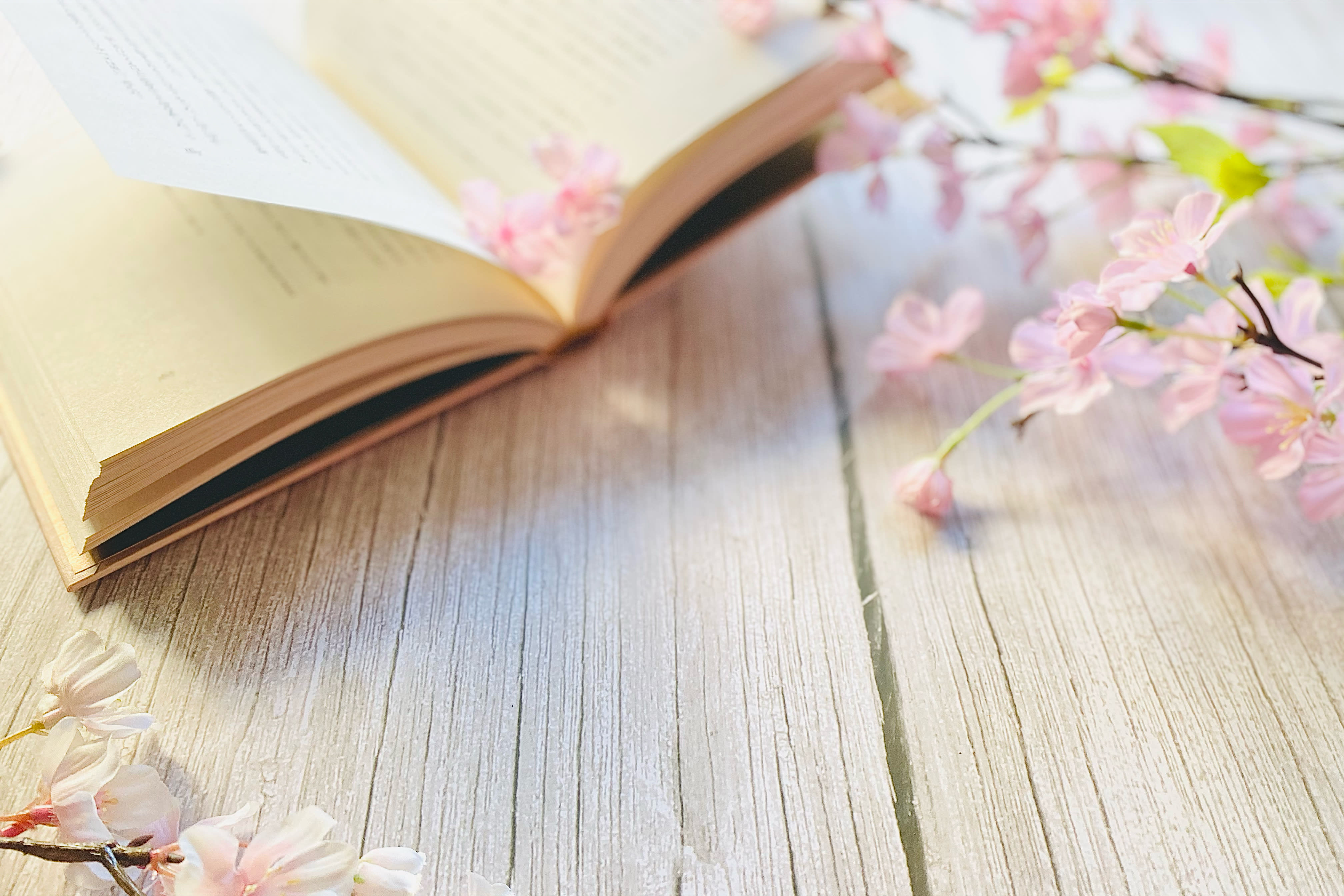 2025年度レギュラー生 残2席(土曜1席・日曜1席)