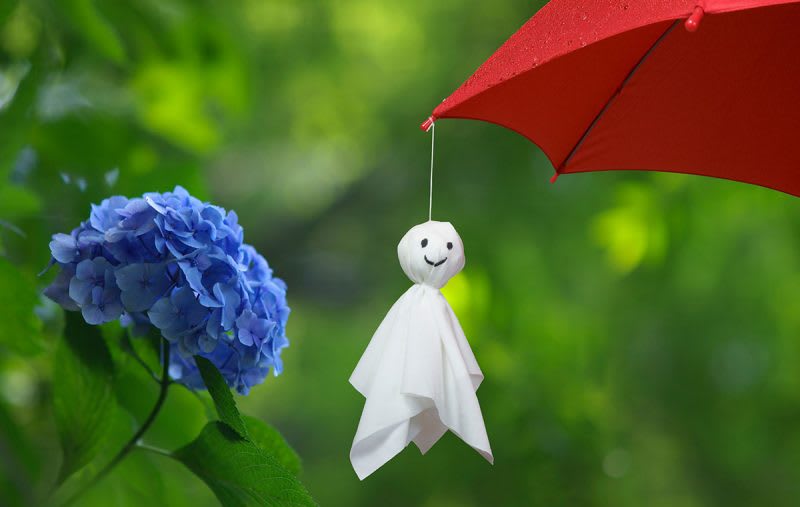 梅雨入りと篠目中テスト