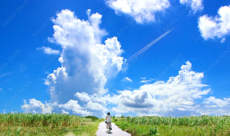 夏休みは終わらない