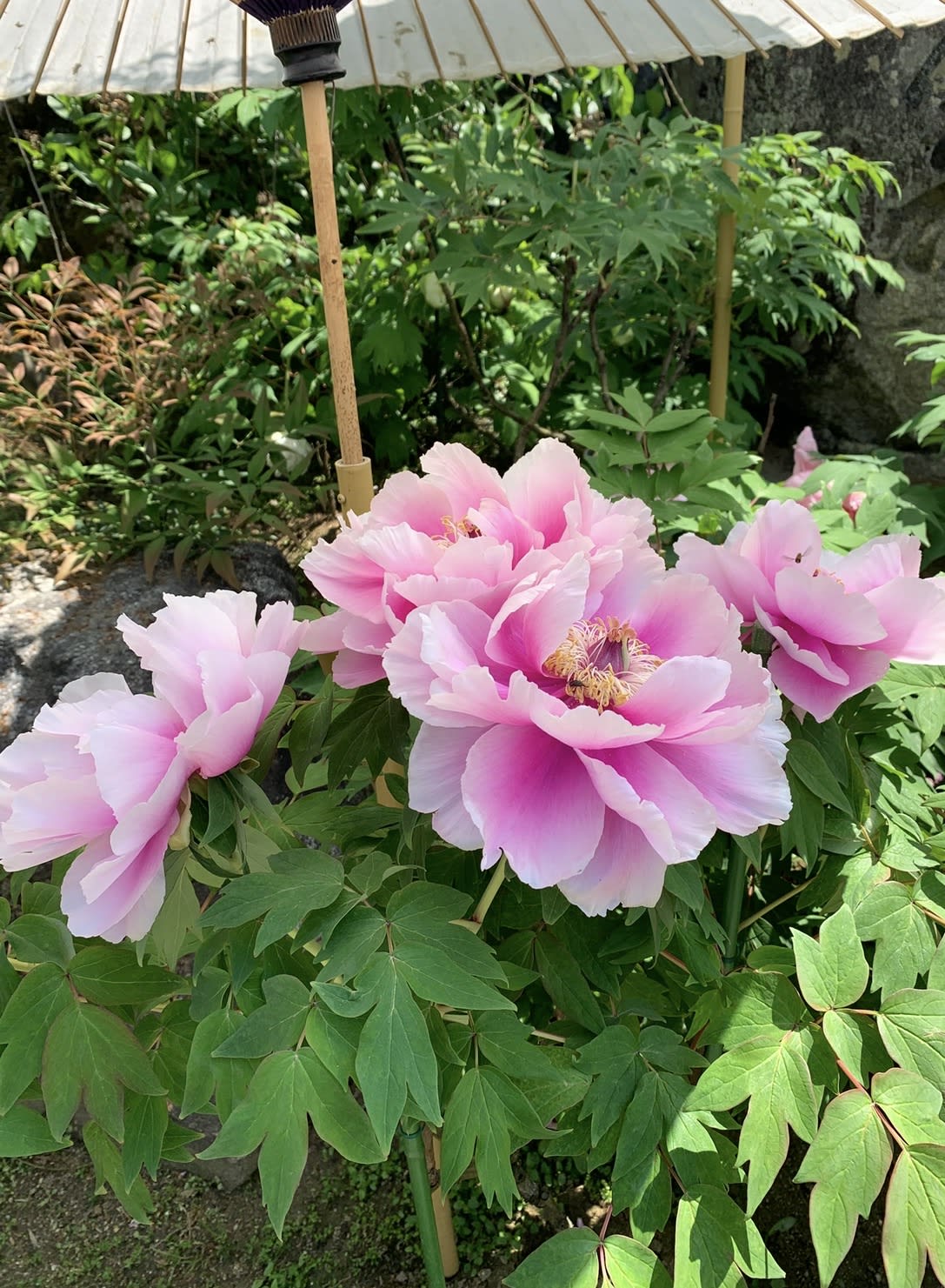 できたつもりにならない