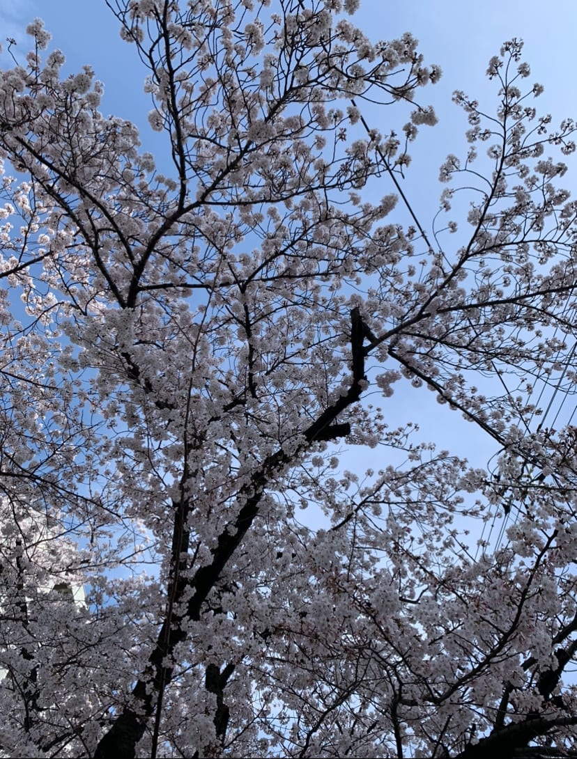 次のフェーズへ