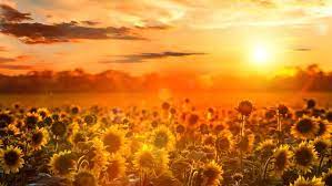 夏の終わりに ～STUDY GYM～