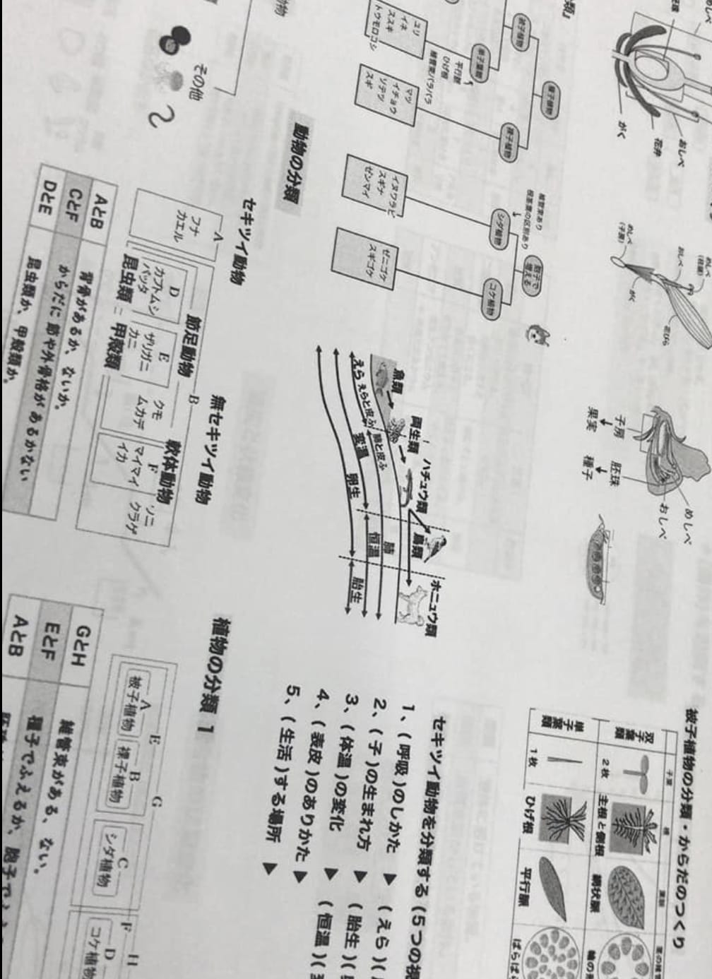 中３受験生は理科、社会の準備も大切だよ。早めの取り組みで点数を底上げしよう！