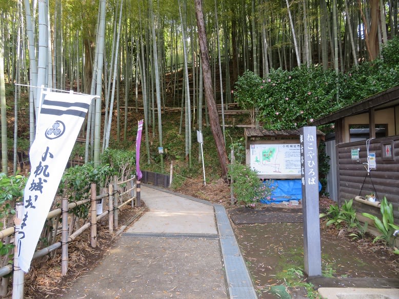 小机城址市民の森へ