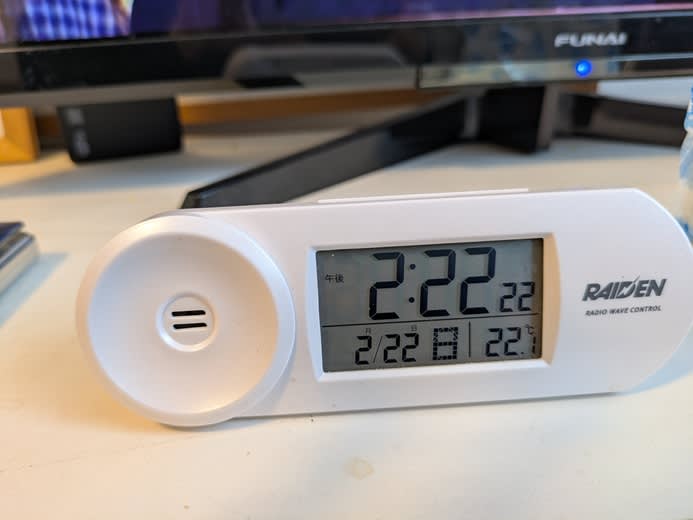 ネコの日にアホな挑戦