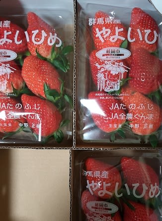 公立対策とか期末対策とか私立対策とか