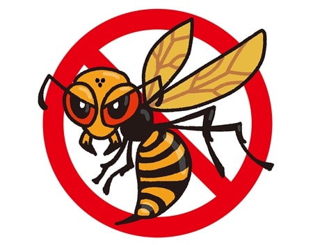 スズメバチさん、お外でお過ごしを♪