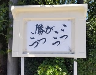 こつこつが勝つこつで本当に勝った新市長