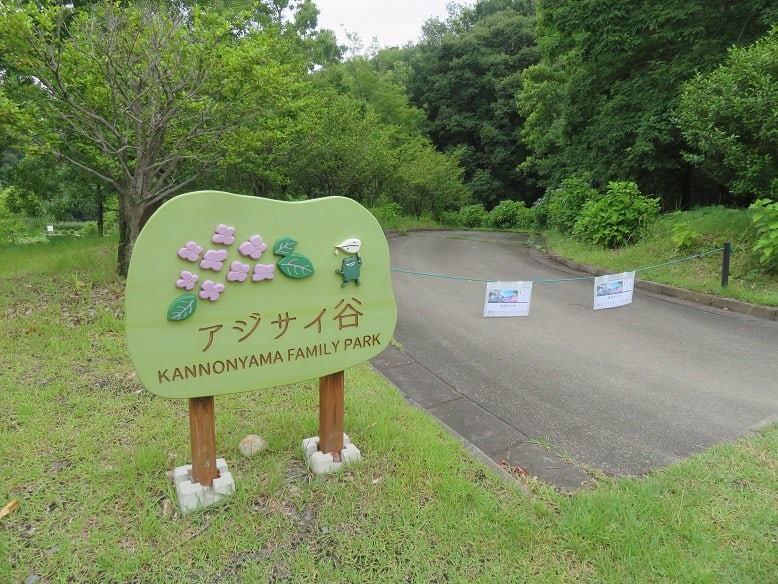 観音山ファミリーパークのアジサイ谷