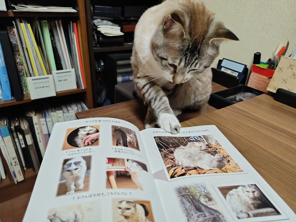 塾長ブログ No.102 2024/11/5 読書の秋