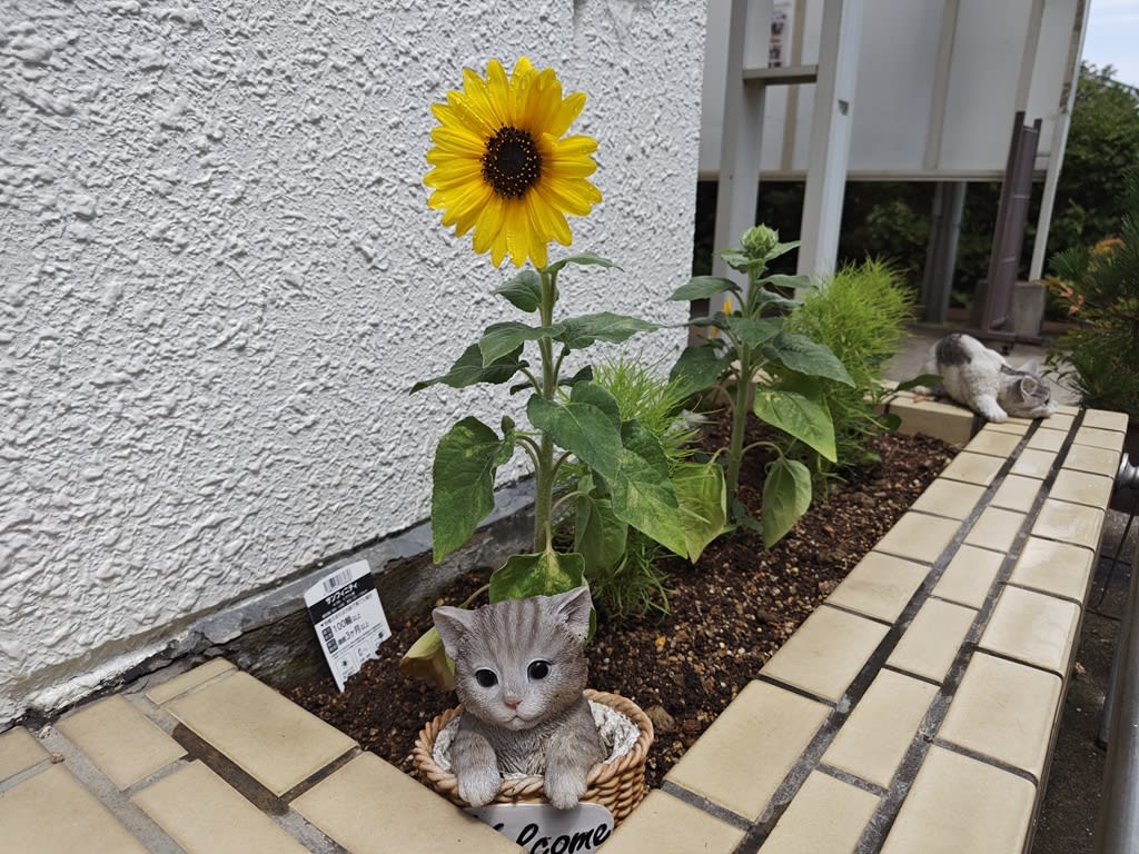 塾長ブログ No.133 2025/7/15 「熱い夏、始まります！」