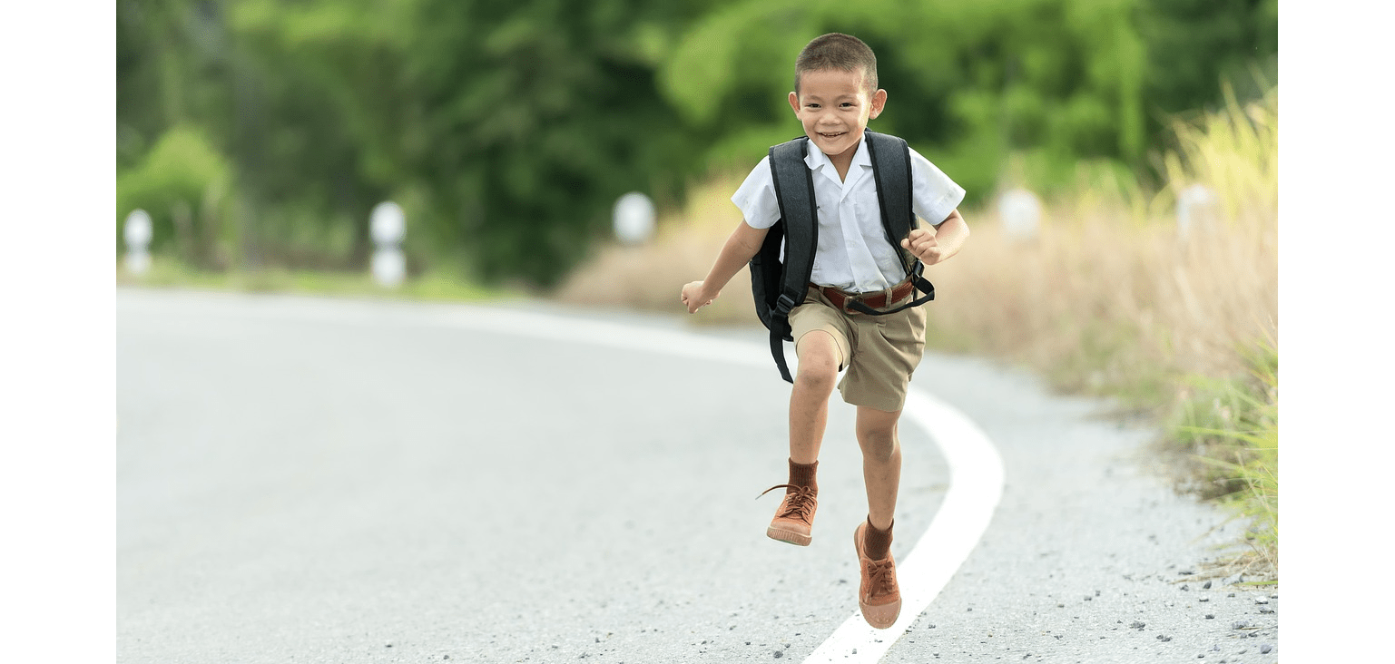 対応科目　算数/国語/理科/社会/英語