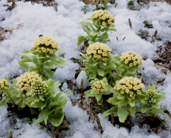 先取り学習、順調です。