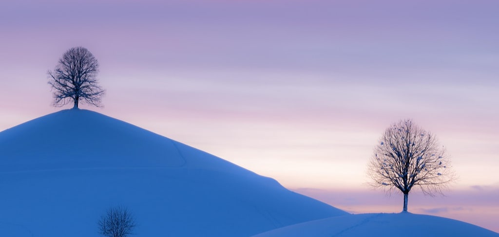 2025年　冬期講習