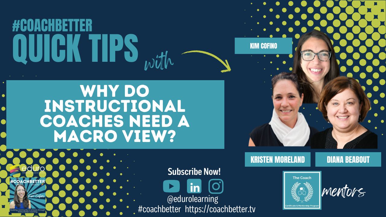 Why YOU need the macro view as an instructional coach!
